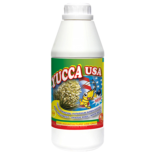 YUCCA USA